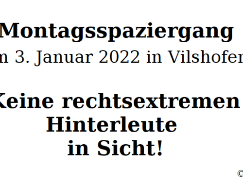 Friedliche Spaziergänger in Vilshofen, 3. Januar 2022